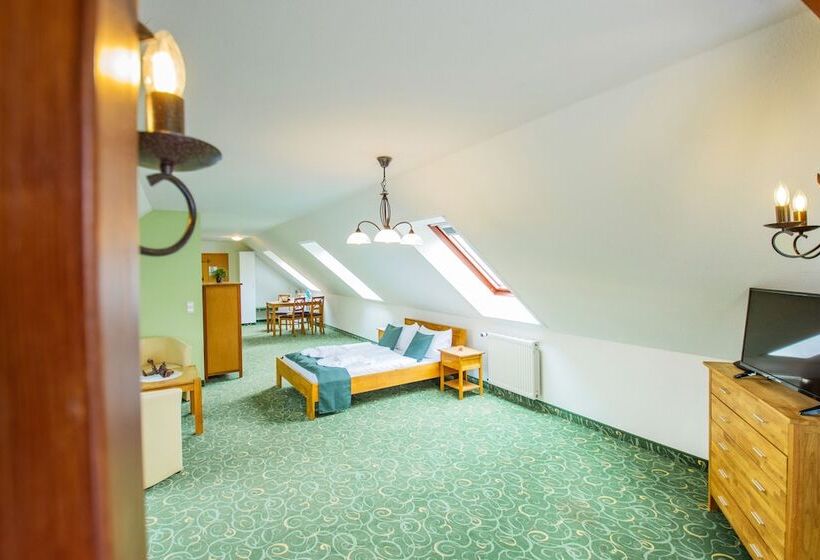 اتاق استاندارد, Ferien Hotel Spreewald