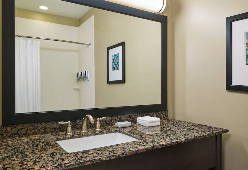 带2个双人床的标准工作室, Four Points By Sheraton Williston