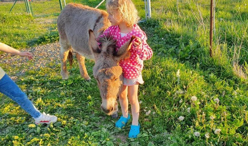 Casa 1 Quarto, Agroturystyka Na Słonecznej Orawie U Dzikich