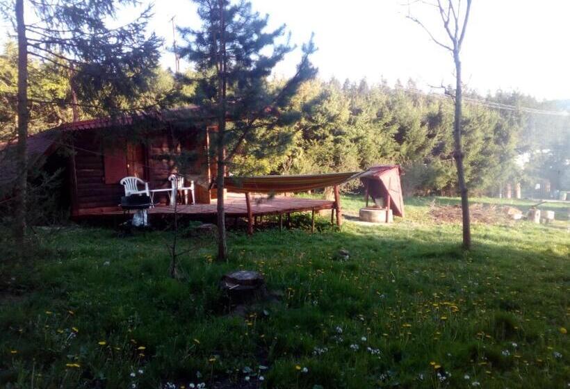 شاليه غرفة نوم واحدة, Domek Górski Z Sauną