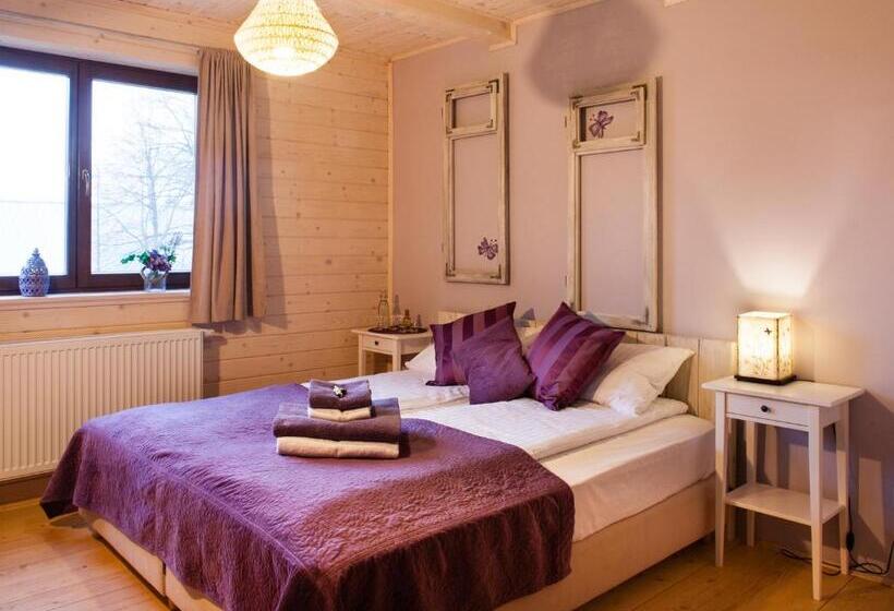 Номер Стандарт, Sirvis Apartamenty