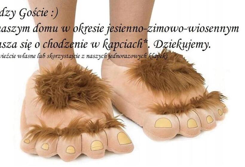 اتاق استاندارد یک نفره, Willa Jodła Wisła