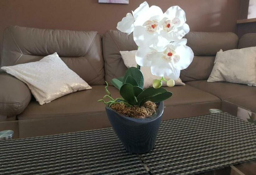 آپارتمان 1 خوابه با چشم‌انداز, Butorowy Residence Apartament Górska Orchidea