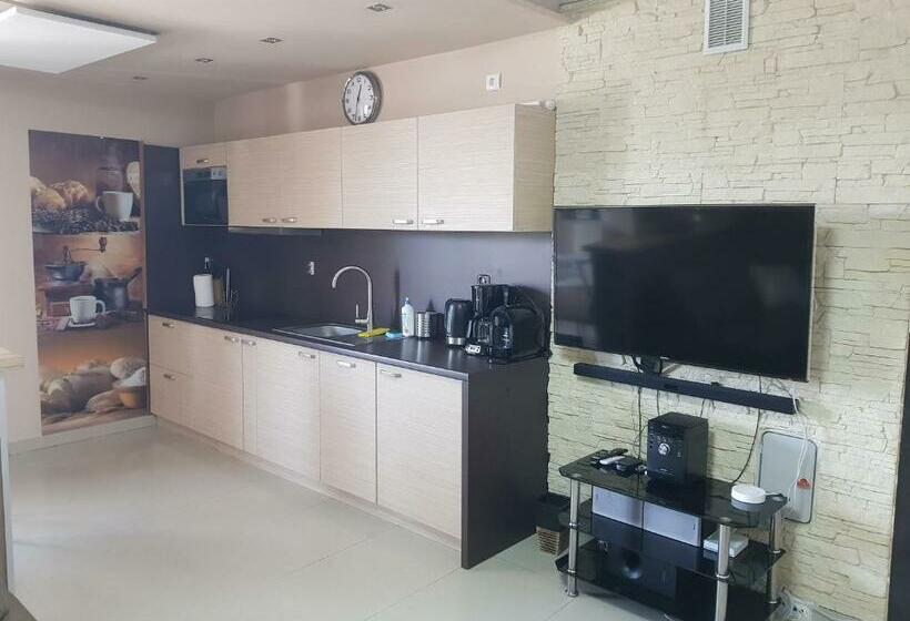 آپارتمان 1 خوابه با چشم‌انداز, Butorowy Residence Apartament Górska Orchidea