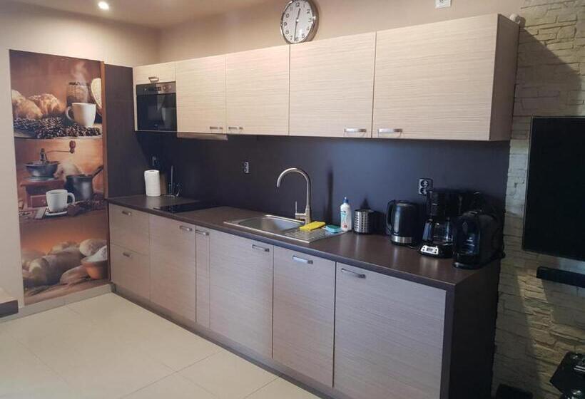 آپارتمان 1 خوابه با چشم‌انداز, Butorowy Residence Apartament Górska Orchidea