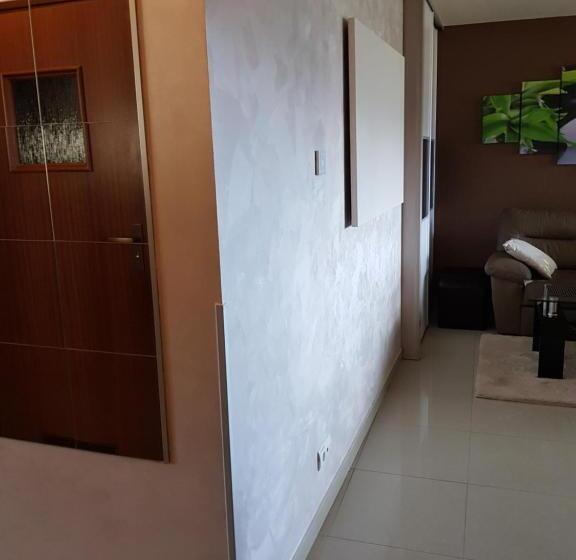 آپارتمان 1 خوابه با چشم‌انداز, Butorowy Residence Apartament Górska Orchidea