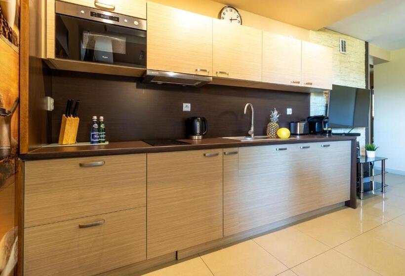آپارتمان 1 خوابه با چشم‌انداز, Butorowy Residence Apartament Górska Orchidea