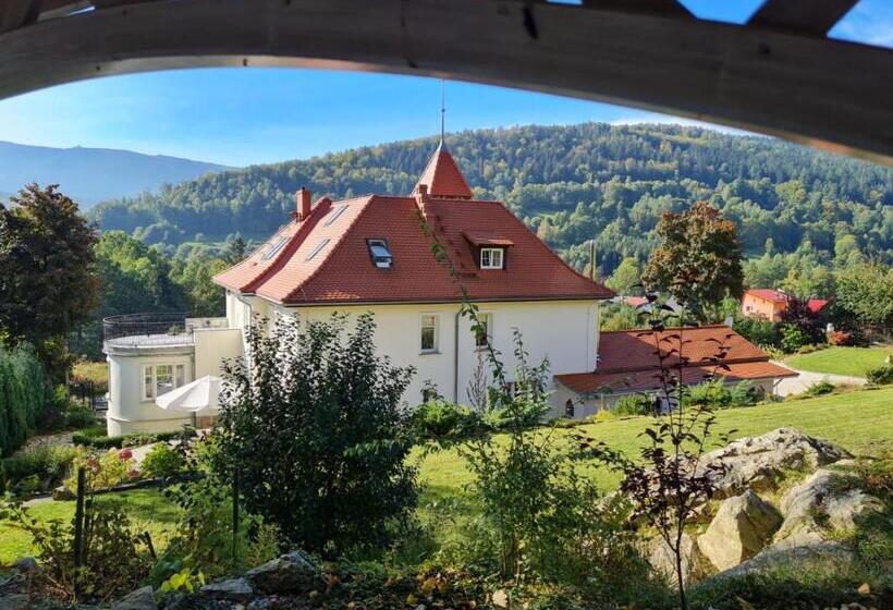 Стандартный Номер Кровать Кинг, Pałacyk Szklarska