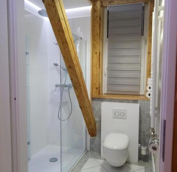 آپارتمان 1 خوابه با بالکن, Willa Jasna Apartamenty Centrum Zakopane