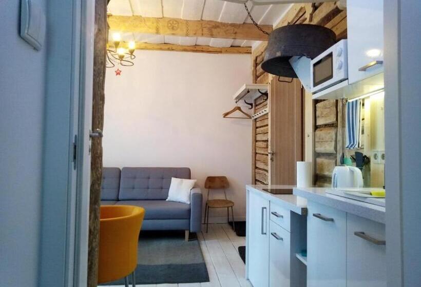 آپارتمان 1 خوابه با بالکن, Willa Jasna Apartamenty Centrum Zakopane