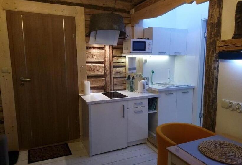 آپارتمان 1 خوابه با بالکن, Willa Jasna Apartamenty Centrum Zakopane
