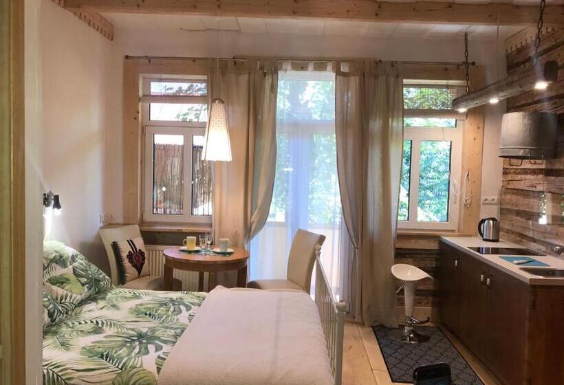 استودیوی لوکس, Willa Jasna Apartamenty Centrum Zakopane