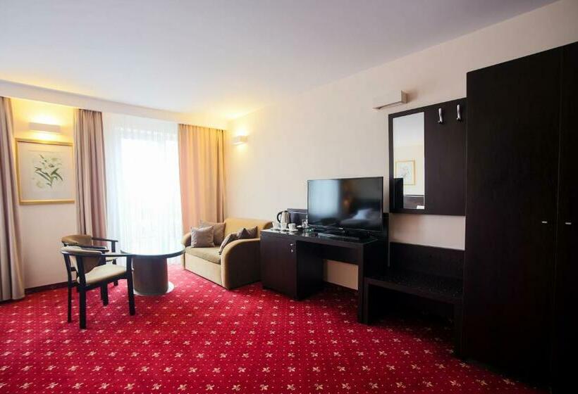Номер Стандарт, Restauracja Hotel Vip