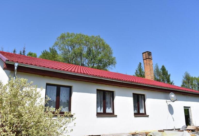 Номер Стандарт Трехместный, Newland Wójtowicz