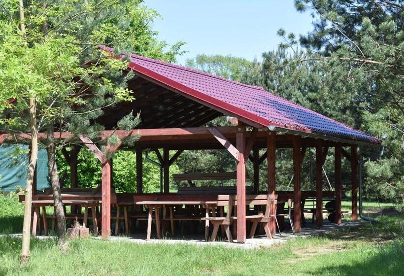 Четырехместный Номер Стандарт, Newland Wójtowicz