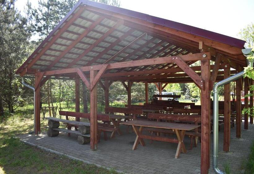 Номер Стандарт, Newland Wójtowicz
