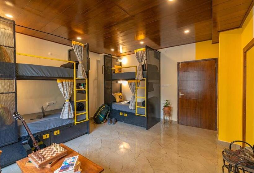 Кровать в Общей Комнате, The Hosteller Kasol, Parvati Valley