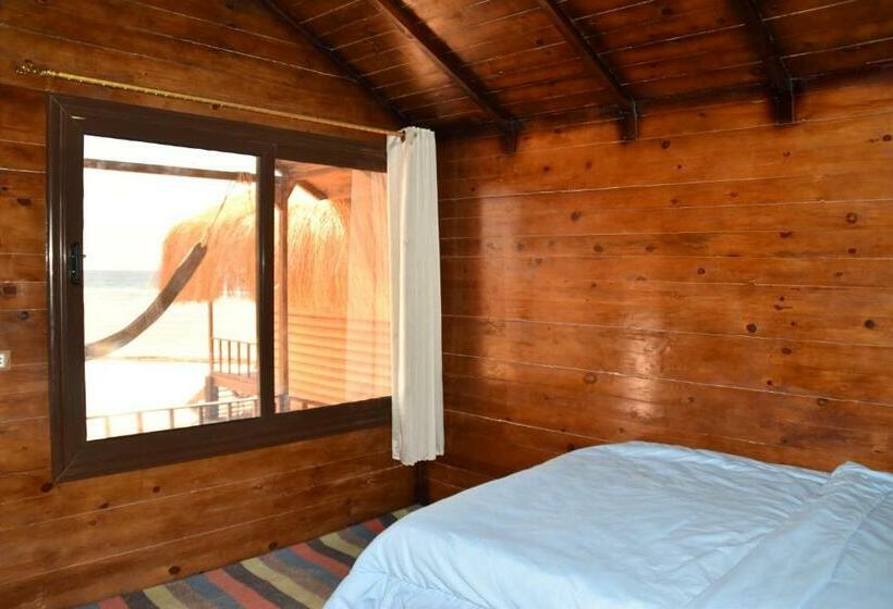اتاق لوکس با چشم‌انداز دریا, Shanty Beach Camp Suer