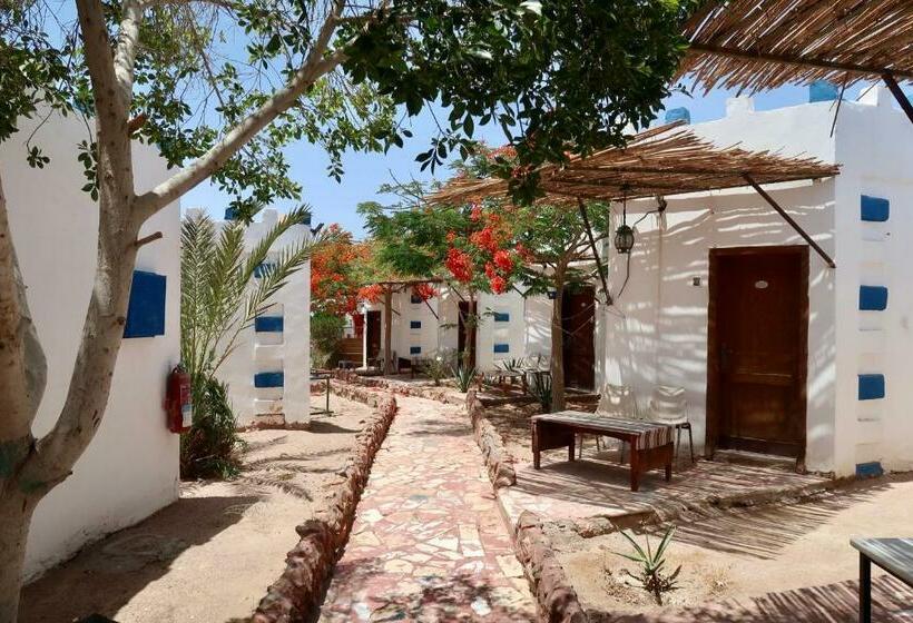 اتاق استاندارد, Bedouins Inn Village