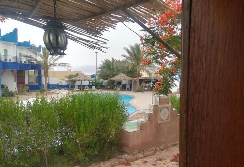 اتاق عادی یک تخته, Bedouins Inn Village
