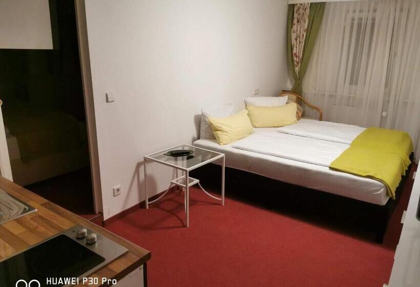 스탠다드 룸, Room In Guest Room  Pension Forelle  Double Room No01