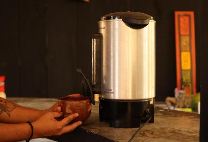 تختخواب در اتاق مشترک, Maracuyá Hostal Zipolite   Coworking Space