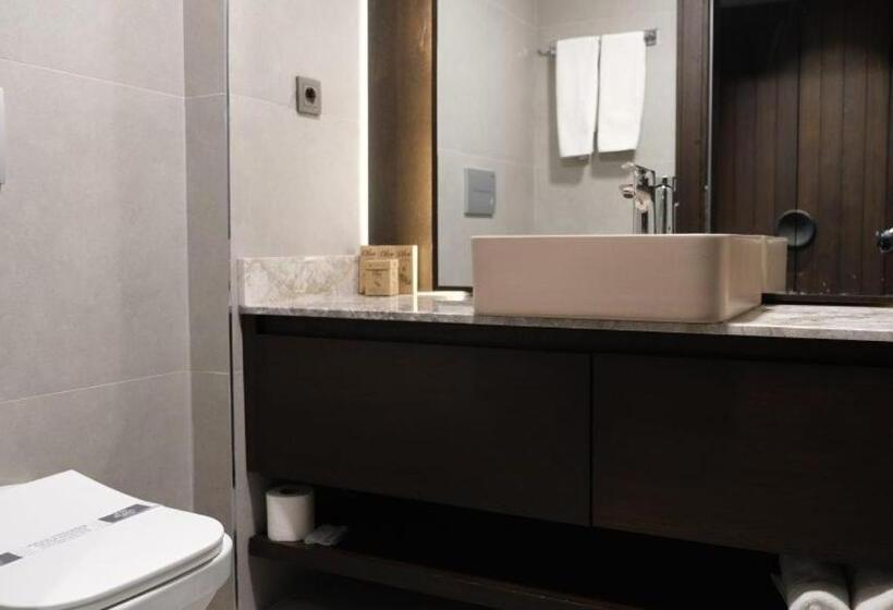 غرفة قياسية, No 21 Hotel By Fi̇dan Hoca