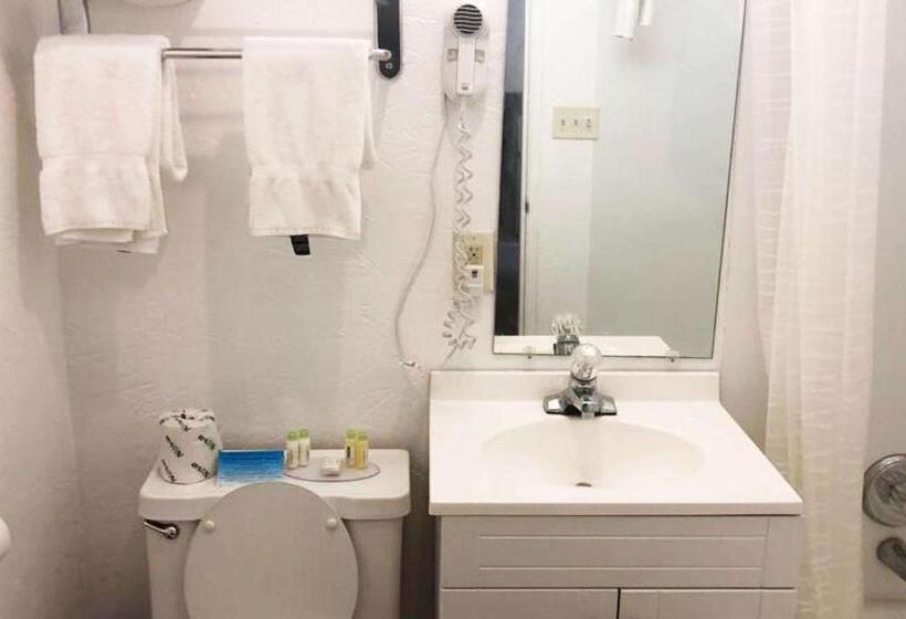 Номер Стандарт, M Star Hotel Mansfield