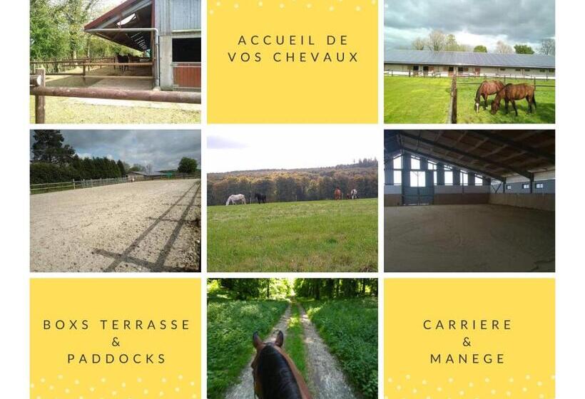 家庭套房, Chambres D Hôtes Du Ranch