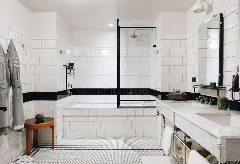Полулюкс, Chicago Athletic Association, Part Of Hyatt