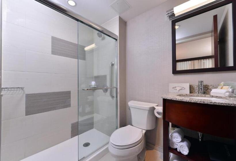 اتاق استاندارد برای معلولان, Holiday Inn New York City   Times Square, An Ihg