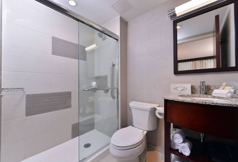اتاق استاندارد با 2 تخت دوبل, Holiday Inn New York City   Times Square, An Ihg
