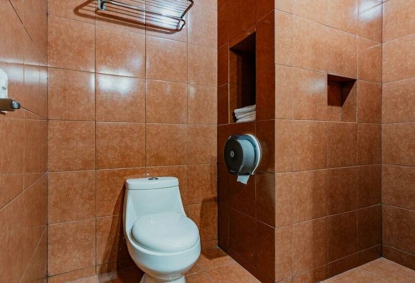 Номер Стандарт, Siglo 21 Merida