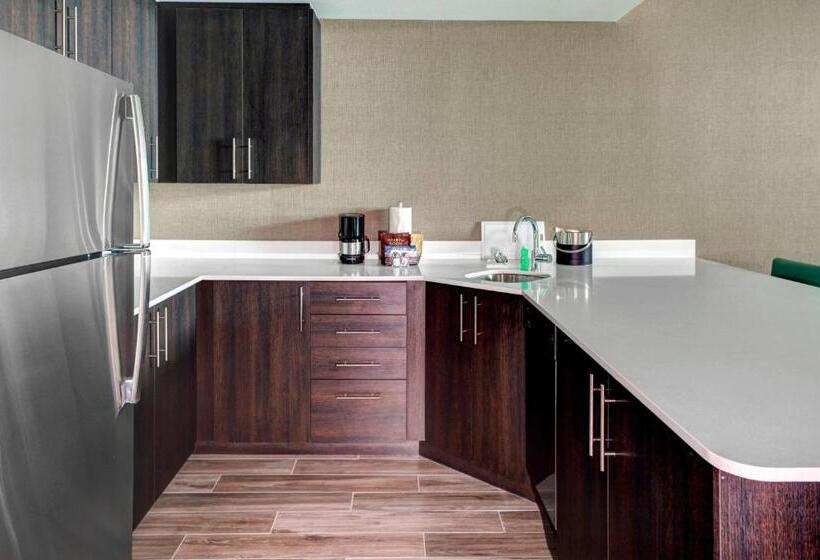 스위트, Residence Inn By Marriott Miami Beach Surfside