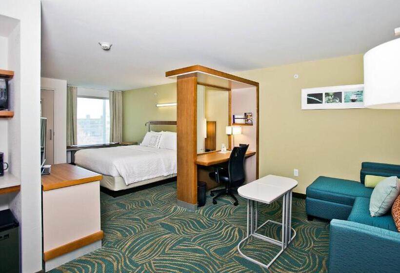 Студио Стандарт Кровать Кинг, Springhill Suites By Marriott Mobile West