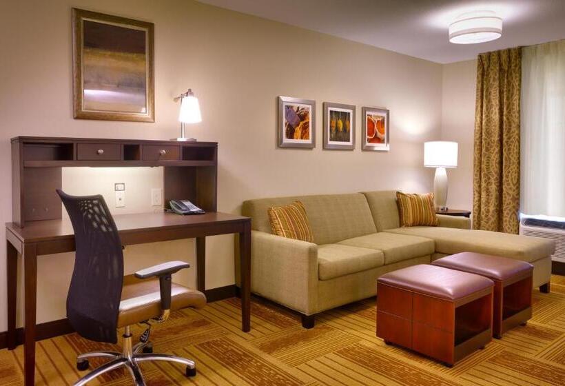 Номер Стандарт Кровать Кинг Адаптированный для Инвалидов, Staybridge Suites Cheyenne, An Ihg
