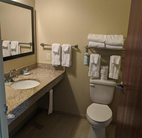 스탠다드 룸 킹사이즈 침대, Cobblestone Inn & Suites Winterset