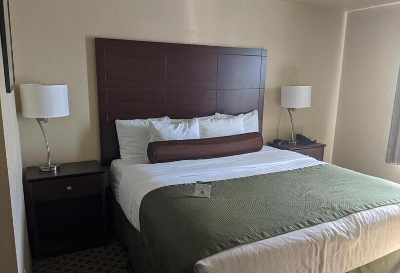 Номер Deluxe Кровать Кинг, Cobblestone Inn & Suites Winterset