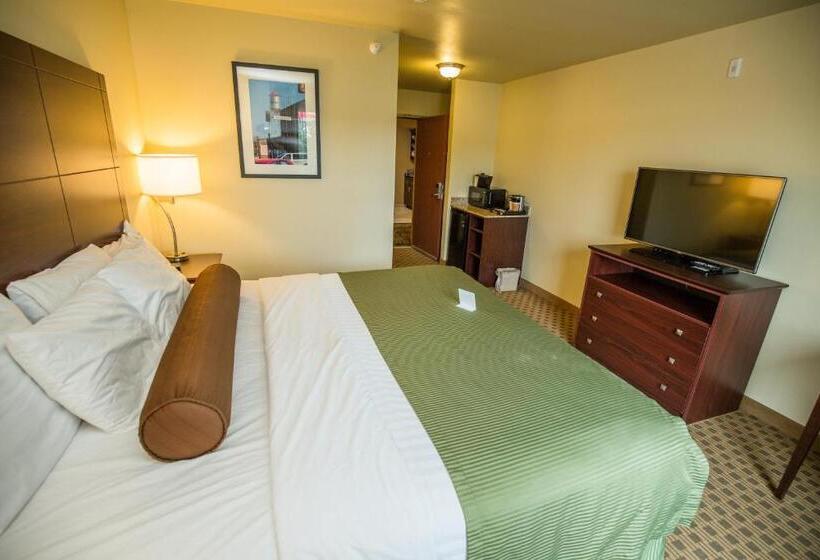 스탠다드 룸 킹사이즈 침대, Cobblestone Inn & Suites Winterset