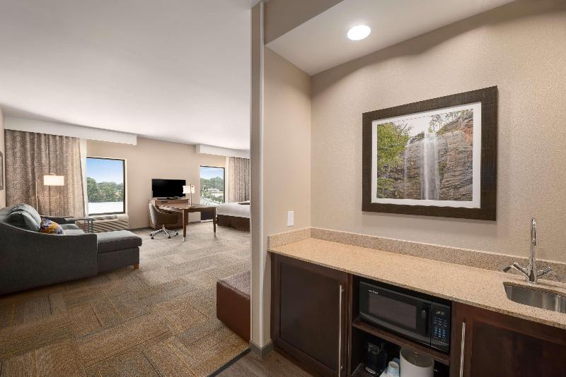 Студио Стандарт Кровать Кинг, Hampton Inn & Suites Lavonia