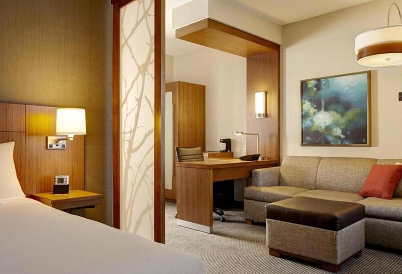 キングサイズベッドのスタンダードルーム, Hyatt Place At The Hollywood Casino Pittsburgh South