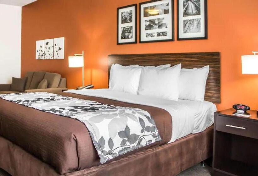 غرفة قياسية سرير كينج, Sleep Inn & Suites Blackwell I35