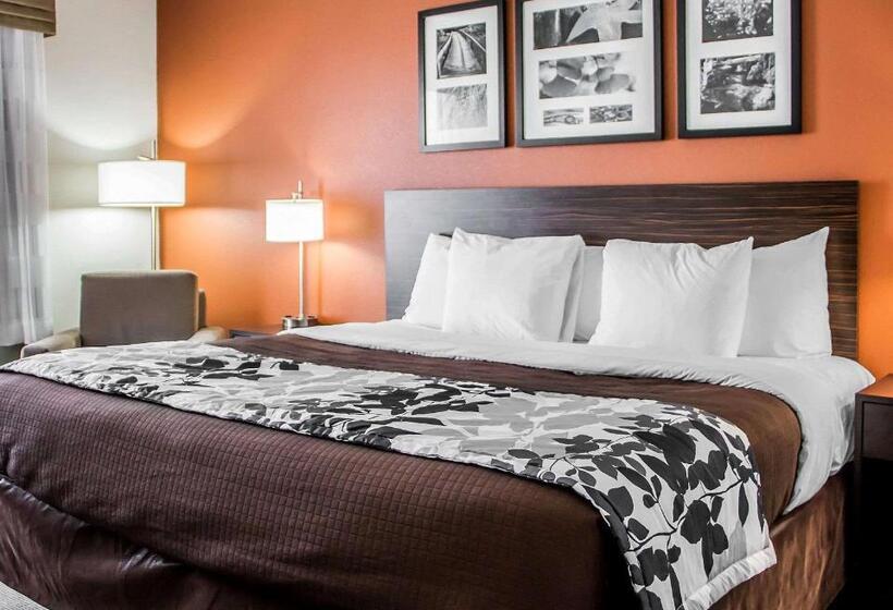 Стандартный Номер Кровать Кинг, Sleep Inn & Suites Blackwell I35
