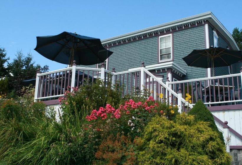 Люкс Superior, Surfside Inn