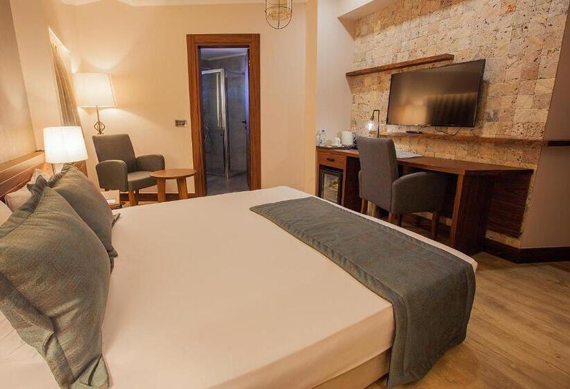 اتاق سوپریور با چشم‌انداز دریا, Cuci Hotel Di Mare Bayramoglu