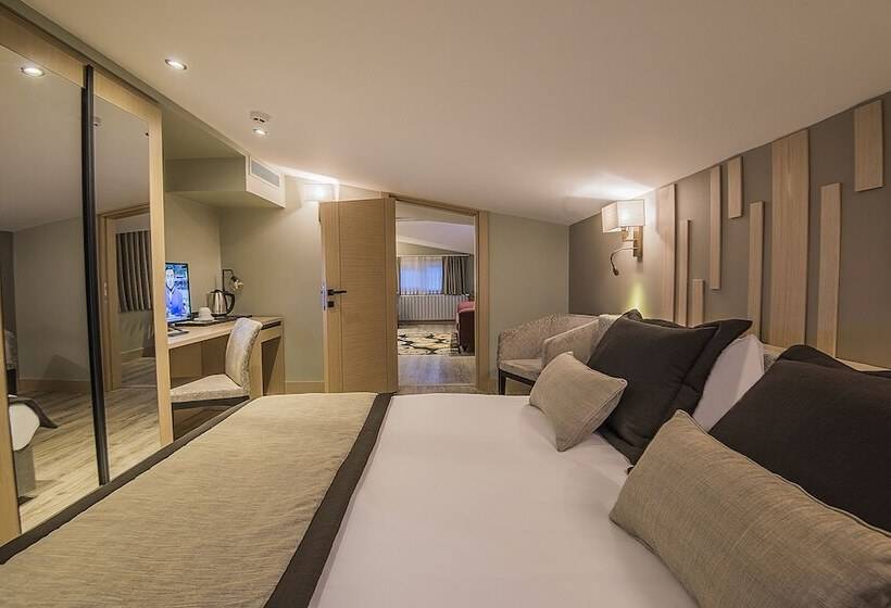 اتاق استاندارد, Cuci Hotel Di Mare Bayramoglu
