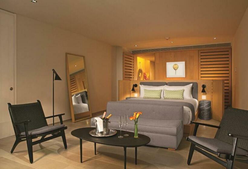 سوئیت با تخت بزرگ, Breathless Cabo San Lucas   Adults Only