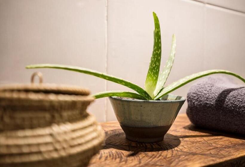 高级大房间, Babel Siem Reap Guesthouse