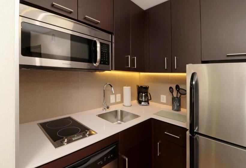스탠다드 스튜디오 킹침대, Staybridge Suites San Luis Potosi, An Ihg