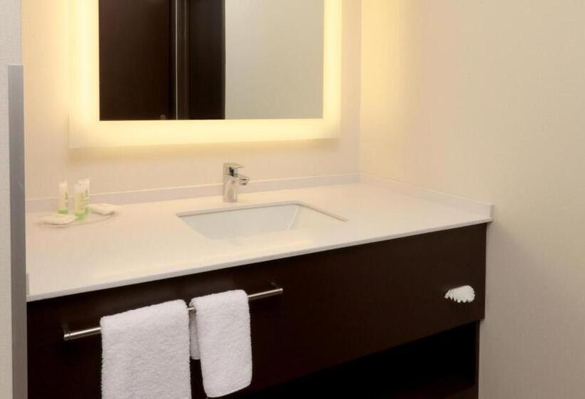 스위트, Staybridge Suites San Luis Potosi, An Ihg